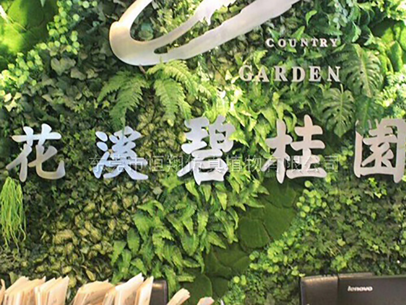 碧桂园仿真植物墙