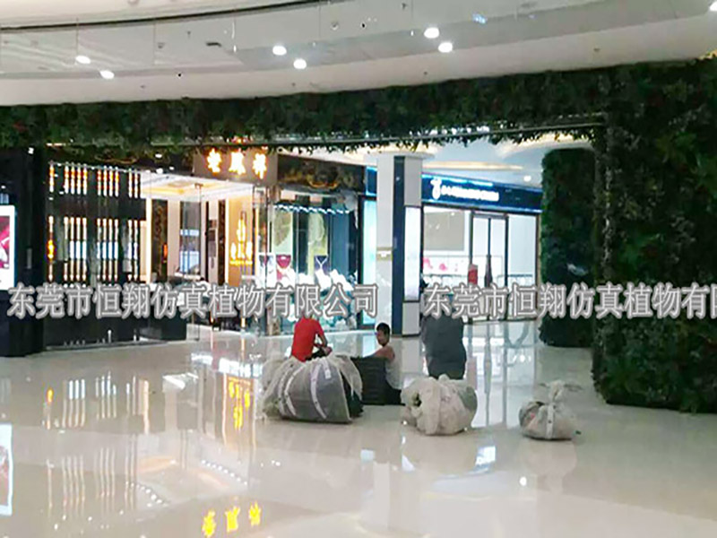 湛江万达植物墙