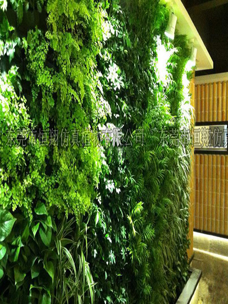 仿真植物墙hx001