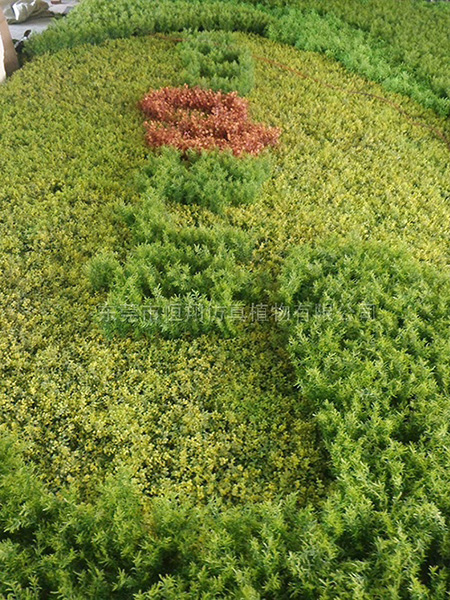 LOGO仿真植物墙设...
