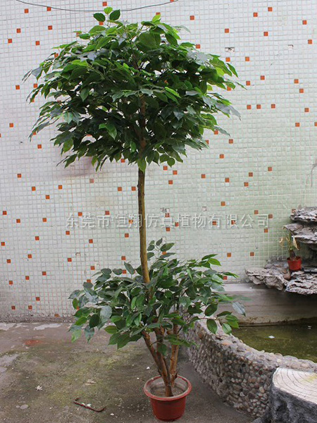 仿真榕树