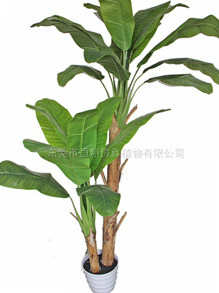 2.2米双杆仿真芭蕉...