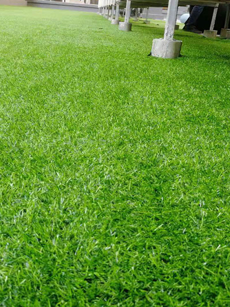休闲草皮铺装