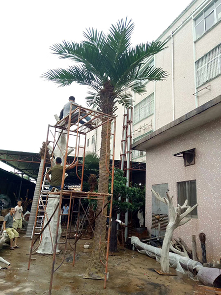 7米银海藻树